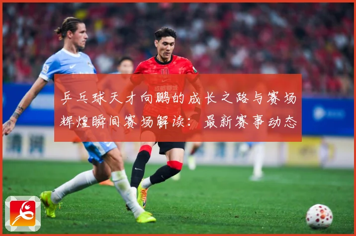 乒乓球天才向鹏的成长之路与赛场辉煌瞬间赛场解读：最新赛事动态与深度分析
